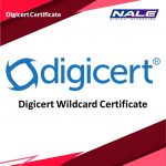 Digicert Basic OV - Wildcard Certificate 1 Year