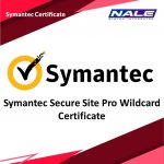 Symantec Secure Site Pro Wildcard Certificate