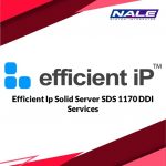 Efficient Ip Solid Server SDS 1170 DDI Services
