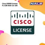 Cisco 10000 License FL-ESR-BUS-16-100