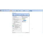 SolarWinds Dameware Mini Remote Control (Perpetual)