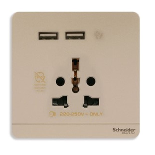 Stop Kontak Schneider AvatarOn, USB charger + 2 socket-outlet, 2P, 16A, Wine Gold