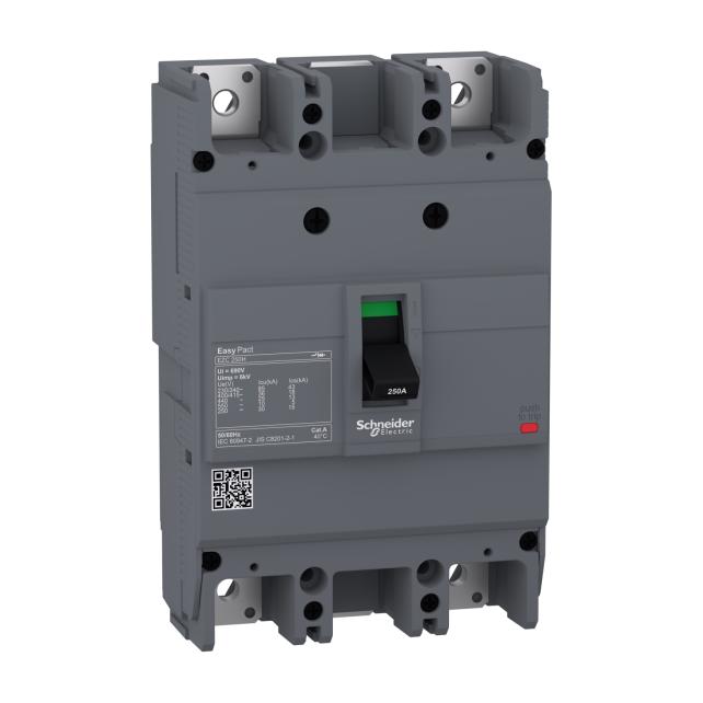 Schneinder circuit breaker Easypact EZC250H - TMD - 100 A - 2 poles 2d (EZC250H2100)