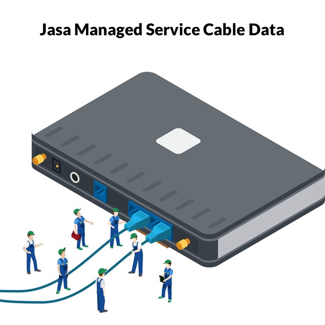 Managed Service Perawatan Berkala Kunjungan Setiap Bulan Jaringan LAN Kabel UTP STP FTP Indoor outdoor Harga Per Node Per Bulan [ Termasuk Material Support ]