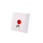 Panic Button with Key (EL-PB86C)